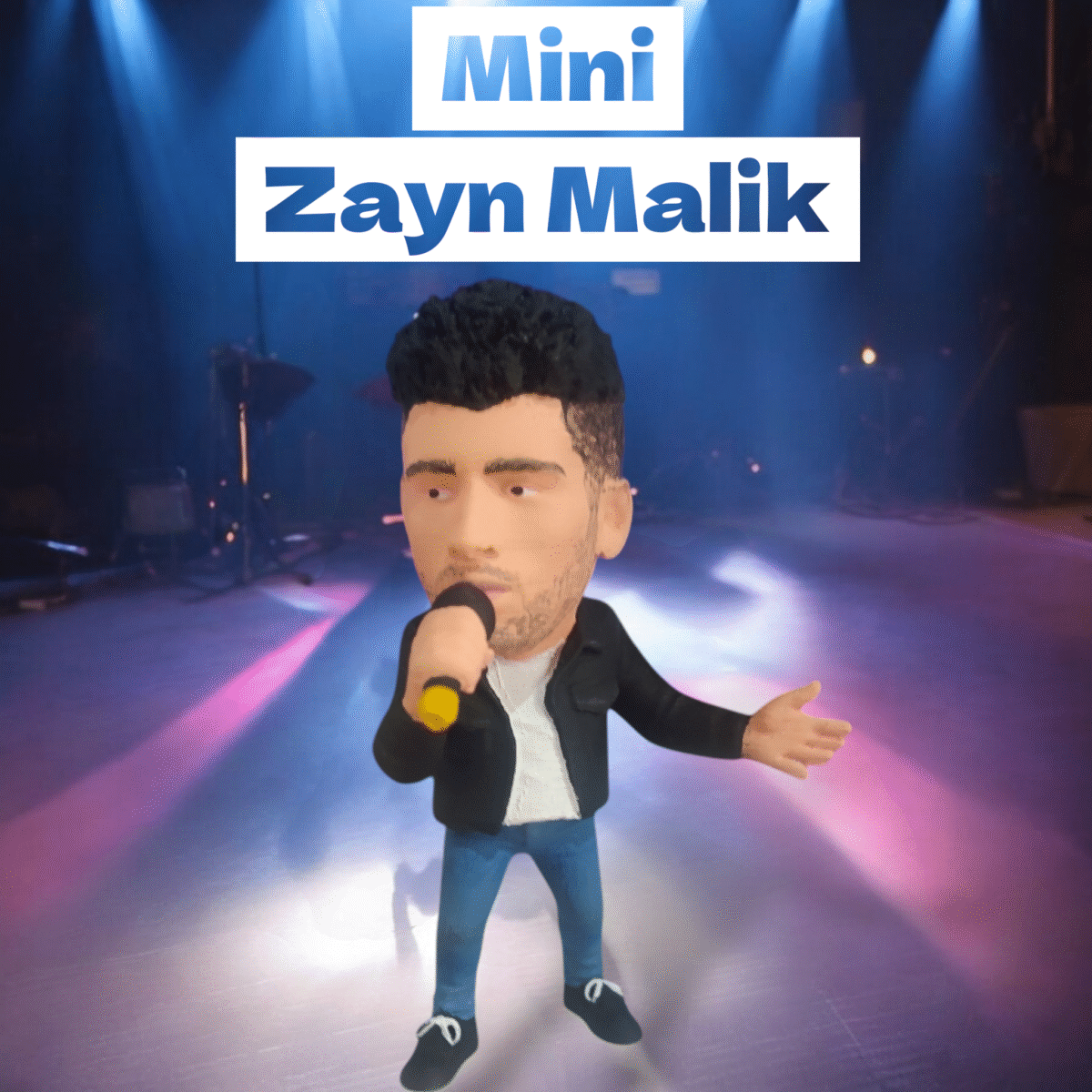 Mini Zayn Malik (10 cm)
