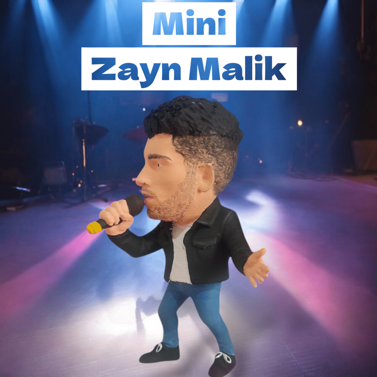 Mini Zayn Malik (10 cm)