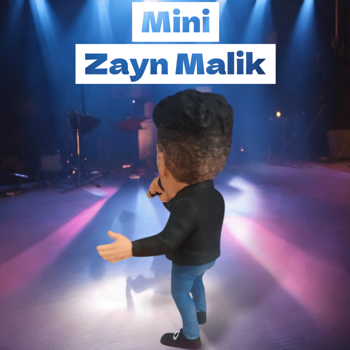 Mini Zayn Malik (10 cm)