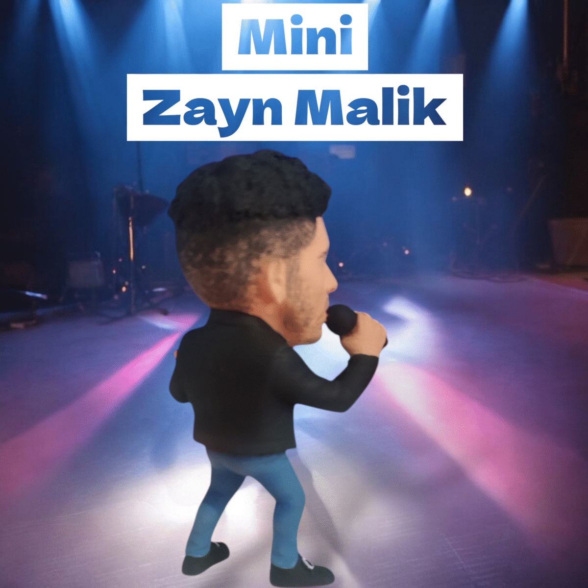 Mini Zayn Malik (10 cm)