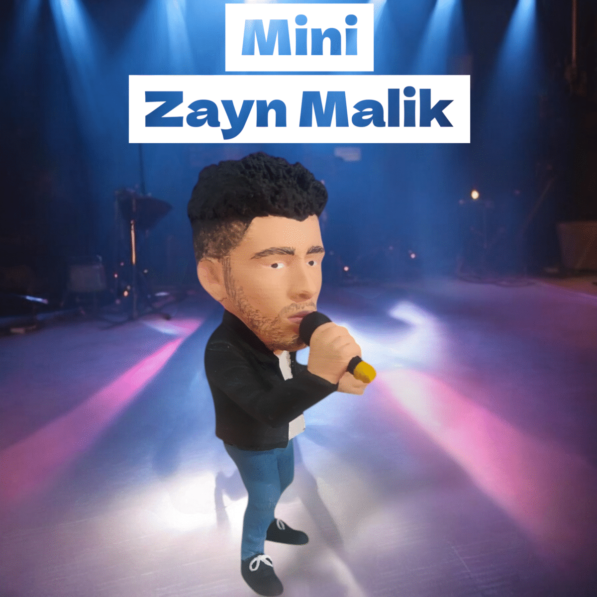 Mini Zayn Malik (10 cm)
