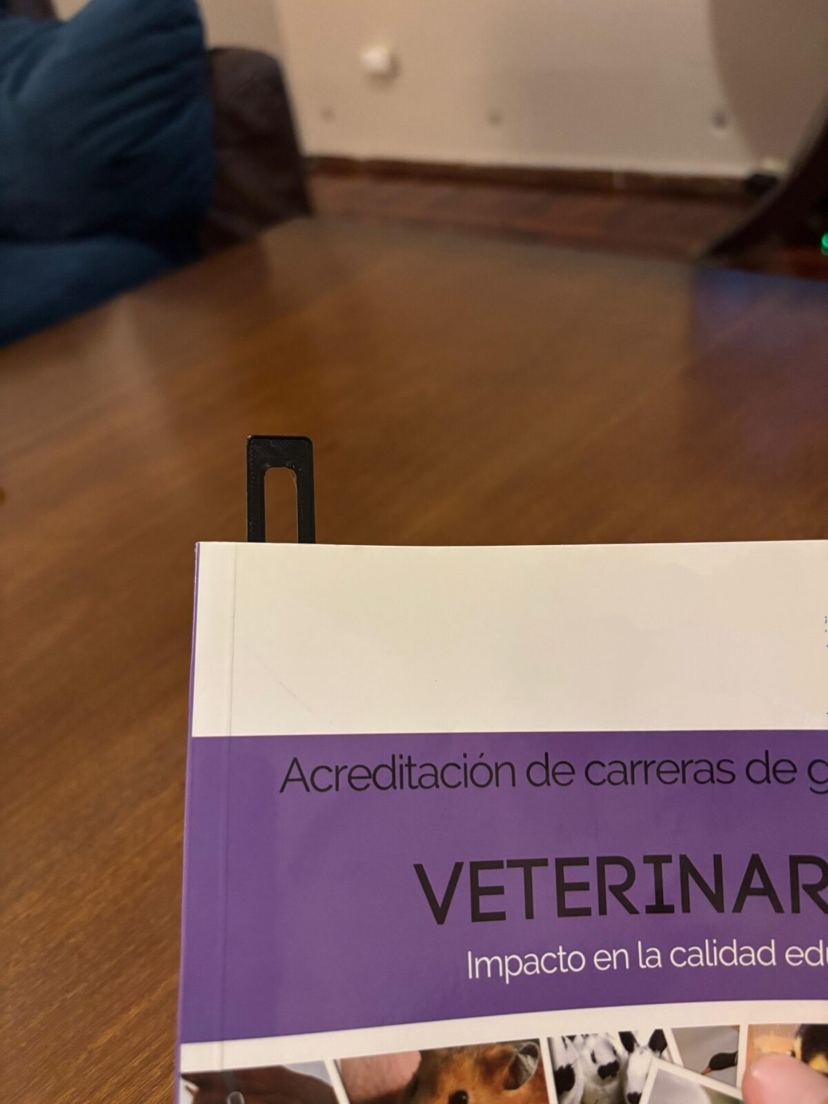 Guia de Lectura