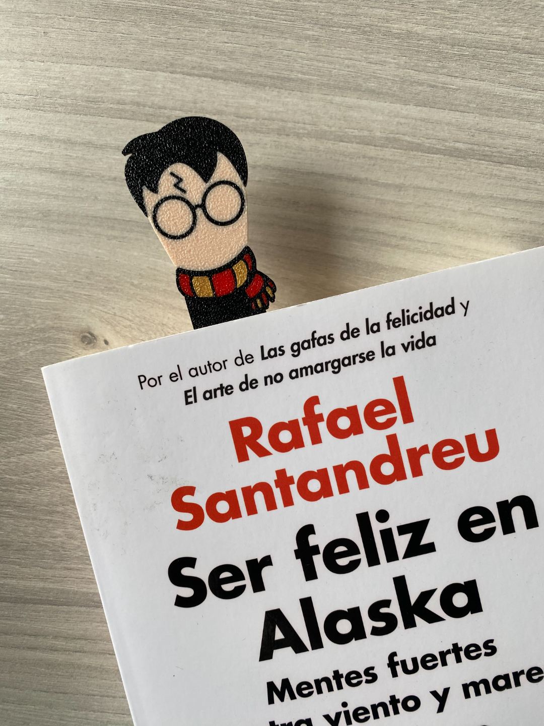 Marcapaginas Harry Potter x4